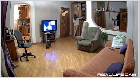 voyeu house|RealLifeCam (RLC)